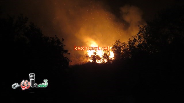  كفرقاسم - فيديو: حريق هائل يلتهم مئات الدونمات من اشجار الزيتون ويقترب الى البيوت في المنطقة الجنوبية الشرقية